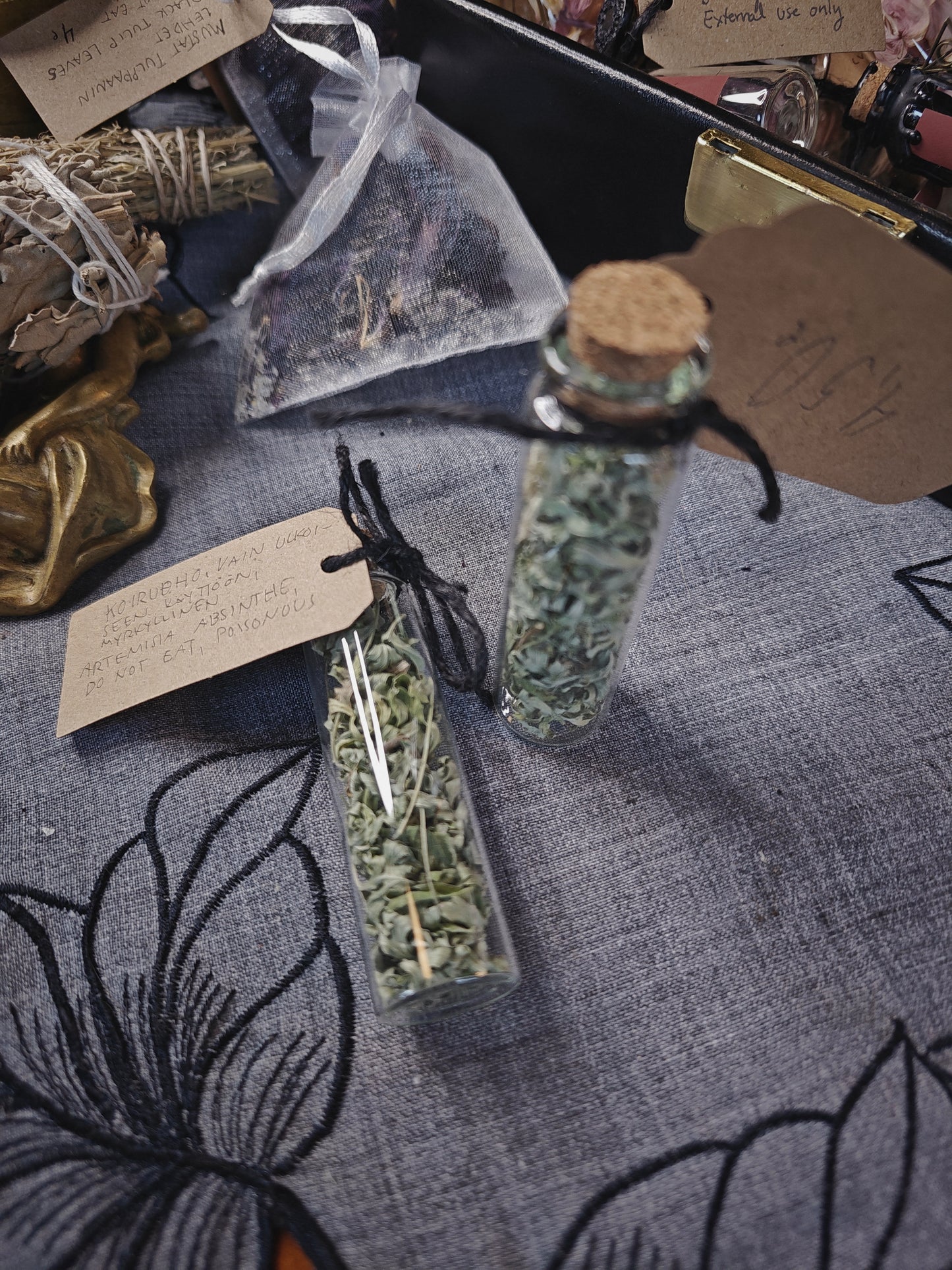 Kuivattu Koiruoho lasipullossa