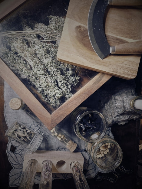 Wormwood (Artemisia Absinthe) Incense Stick