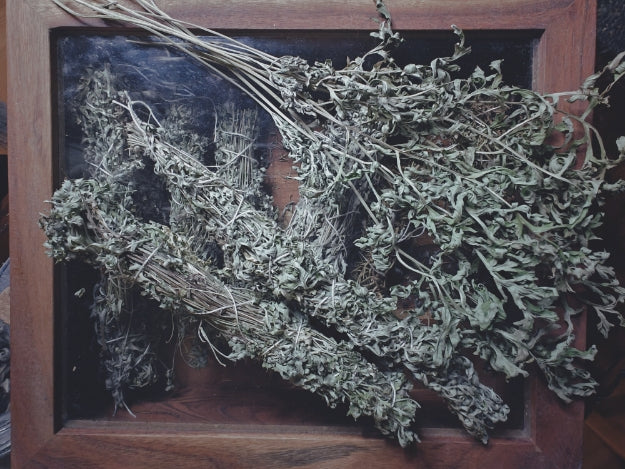 Wormwood (Artemisia Absinthe) Incense Stick