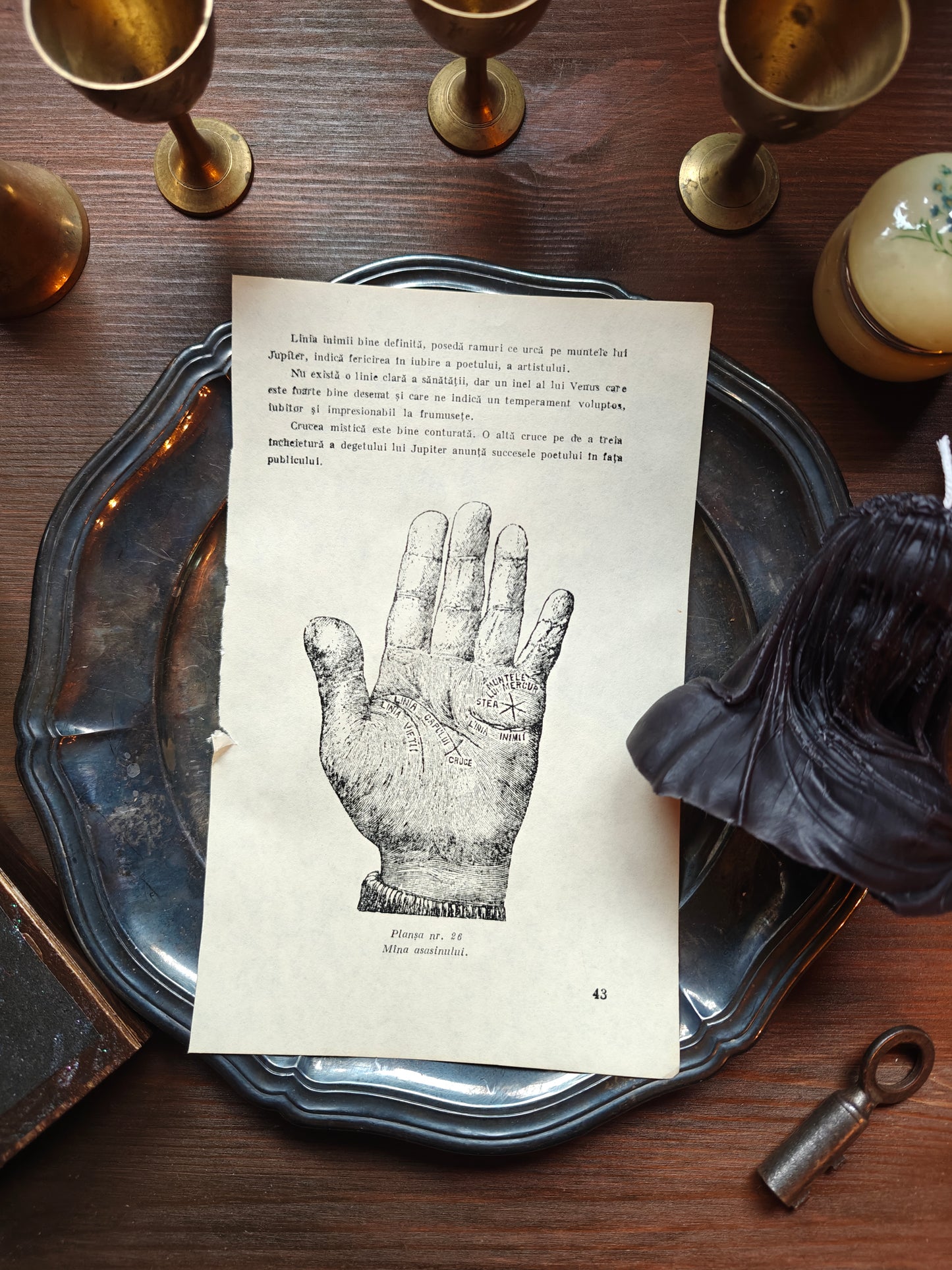 Romanian palm reading guide #3