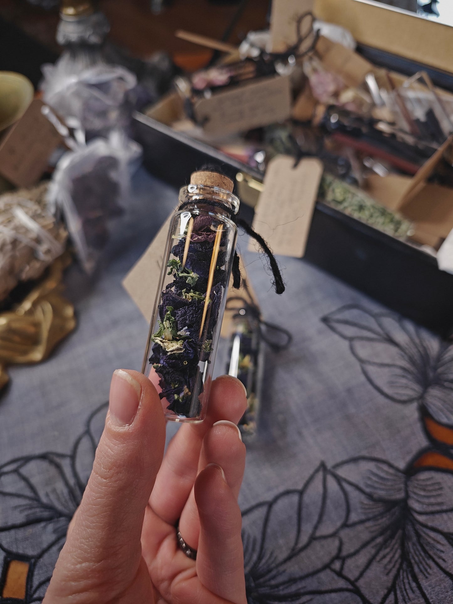 Kuivattu musta orvokki