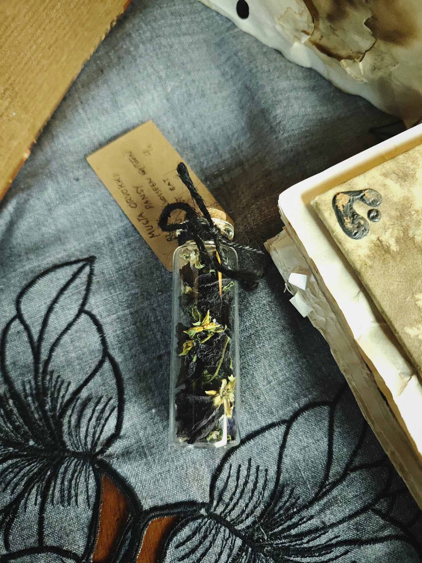 Kuivattu musta orvokki