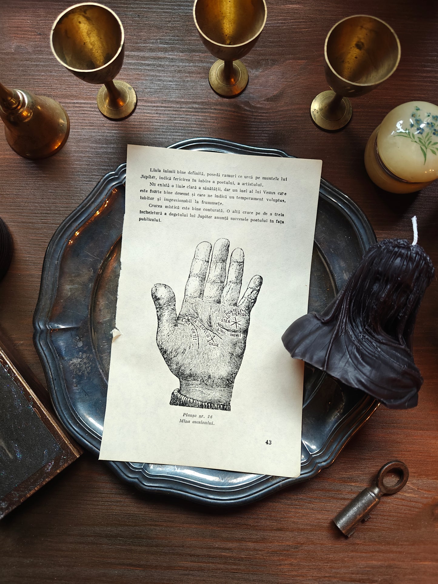 Romanian palm reading guide #3