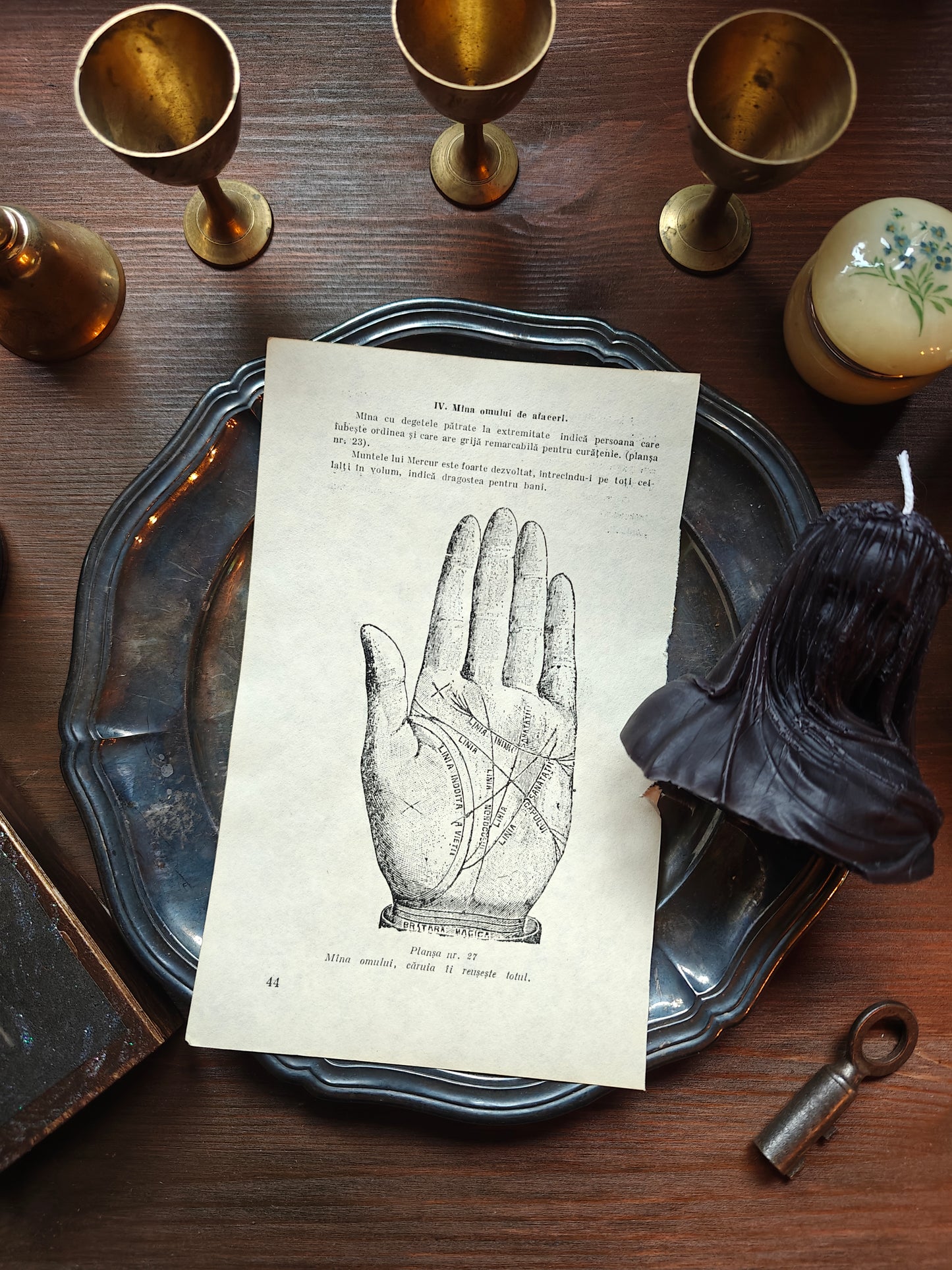 Romanian palm reading guide #3