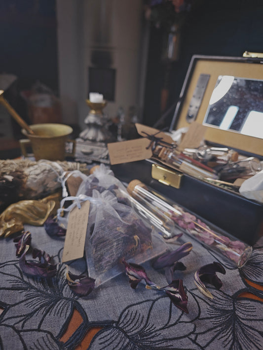 Mustat tulppaanin terälehdet