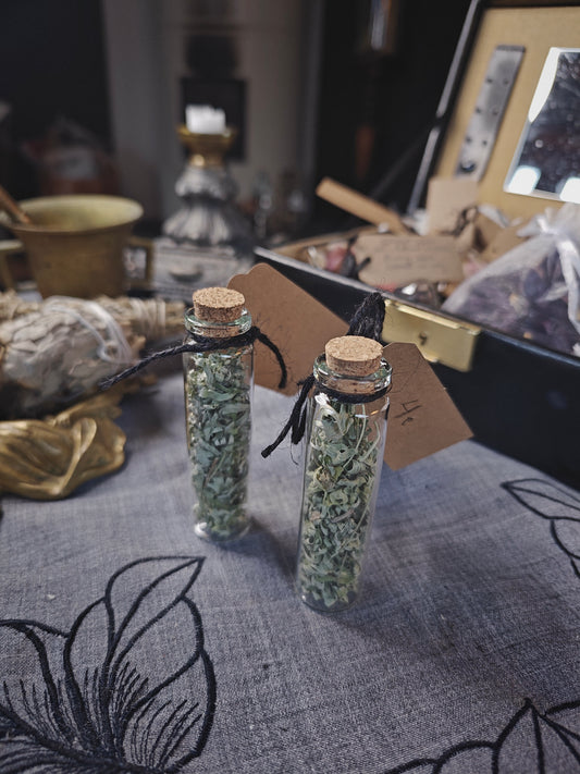 Kuivattu Koiruoho lasipullossa